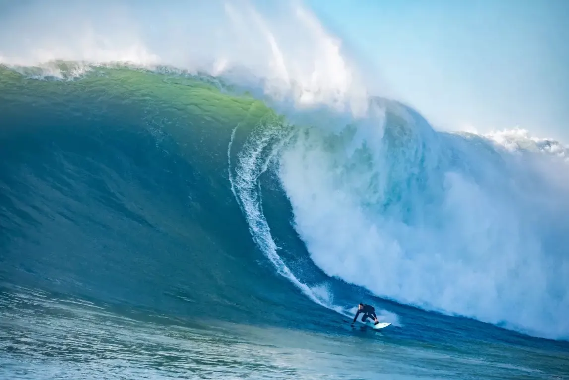 Mavericks - California