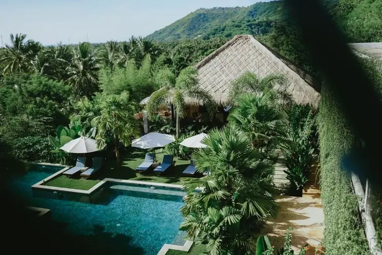 BASECAMP: PORTER HOTEL IN THE JUNGLE - photo 2