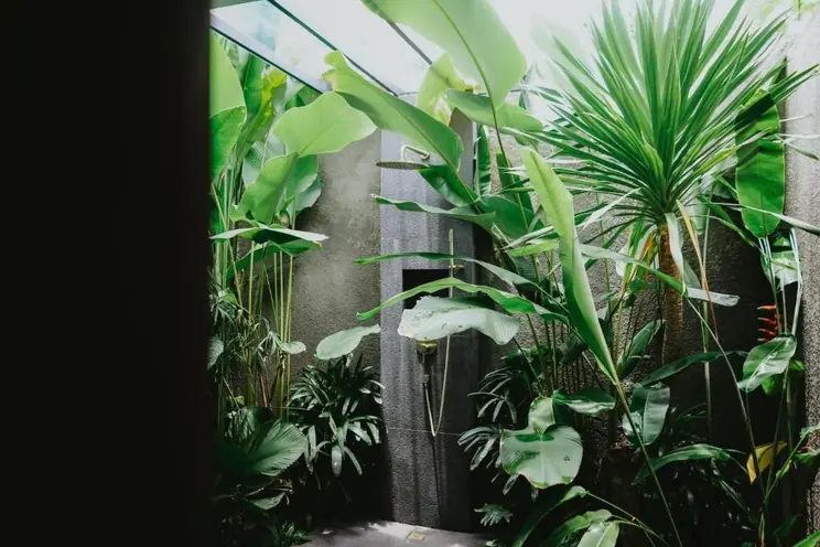 BASECAMP: PORTER HOTEL IN THE JUNGLE - photo 6