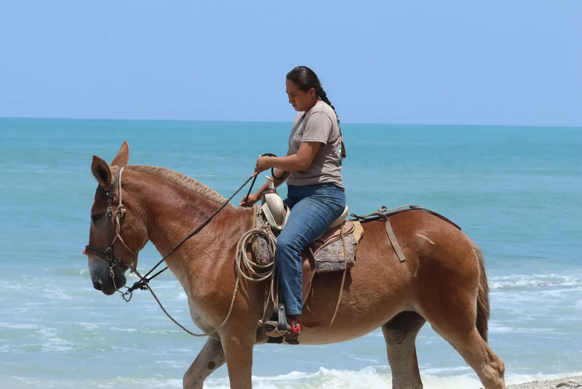 PLAYA HERMOSA, KOSTARYKA - zdjęcie 9