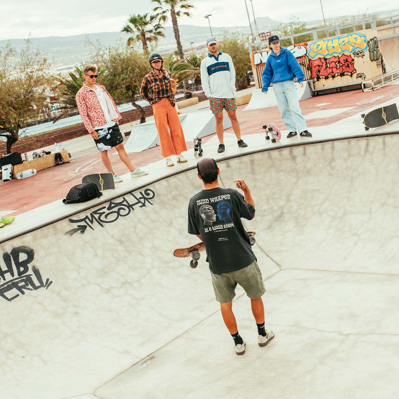 surfskate2